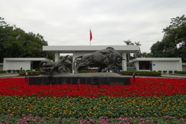 Shenzhen, Pioneering Bull