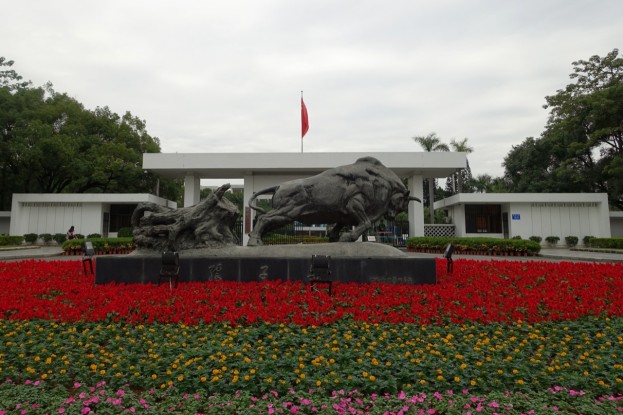 Shenzhen, Pioneering Bull